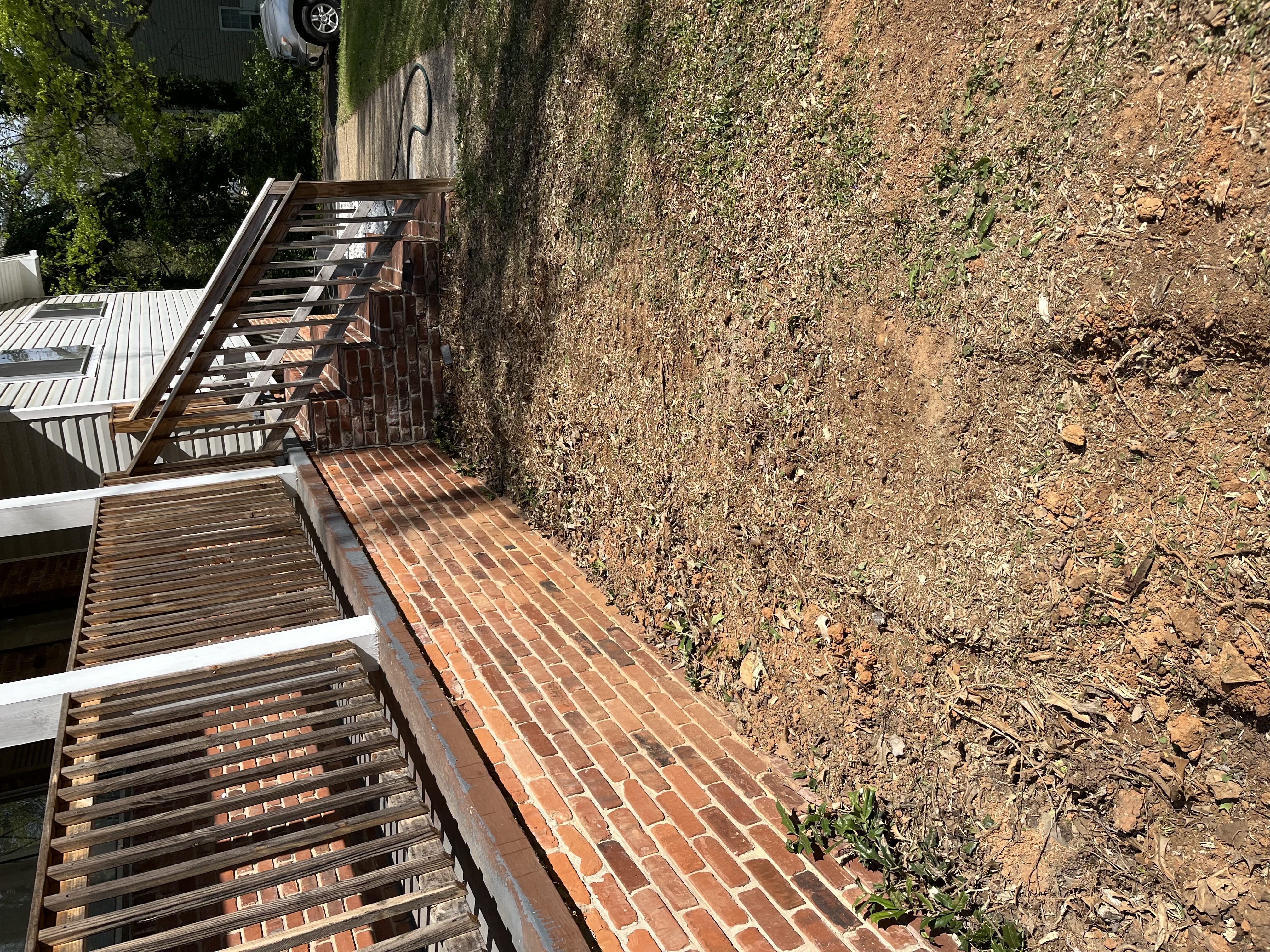 Yard after stump removal - Job 1