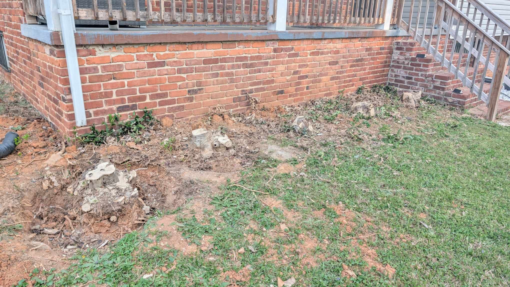 Stump before grinding - Job 1