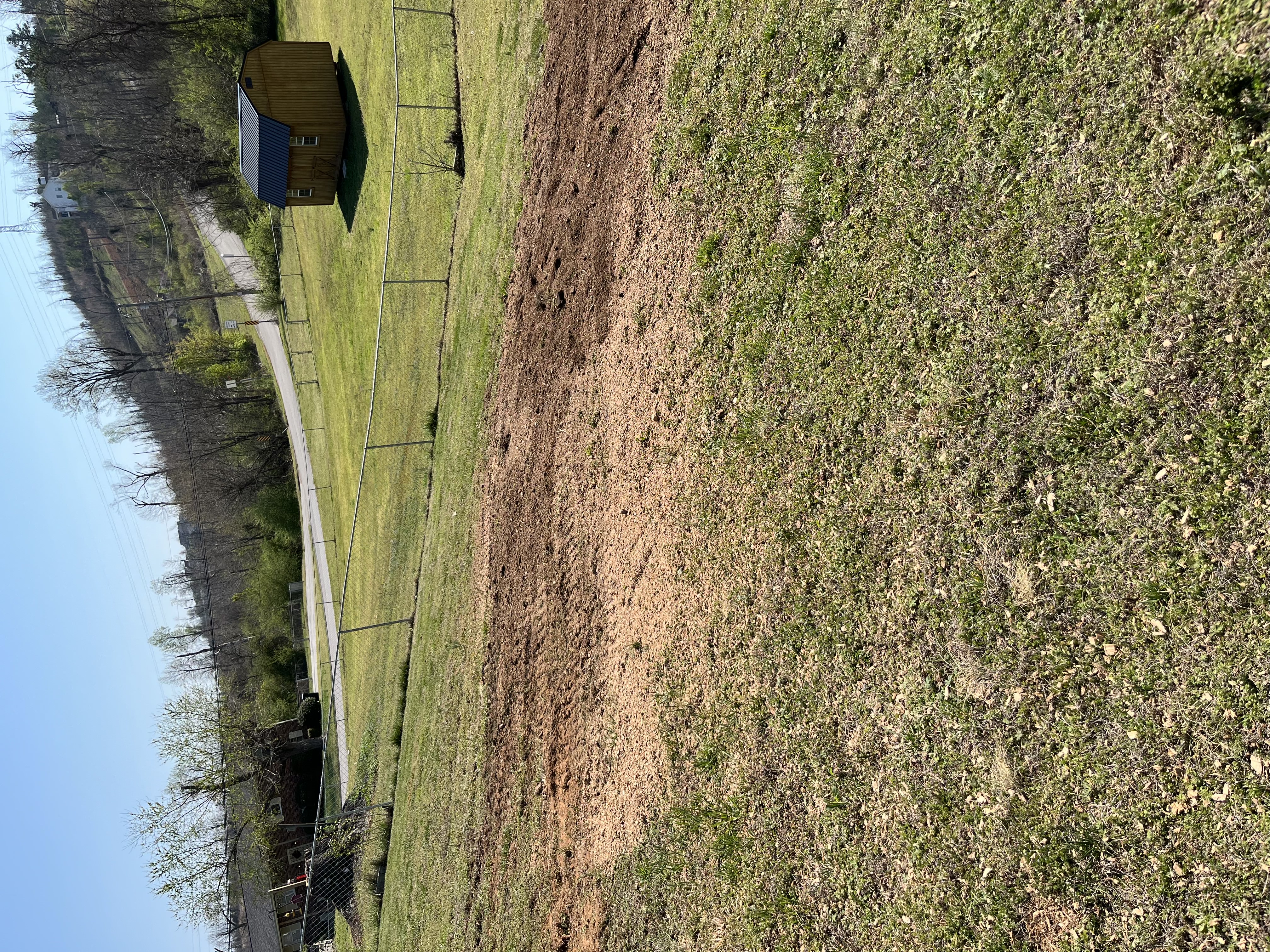 Yard after stump removal - Job 2