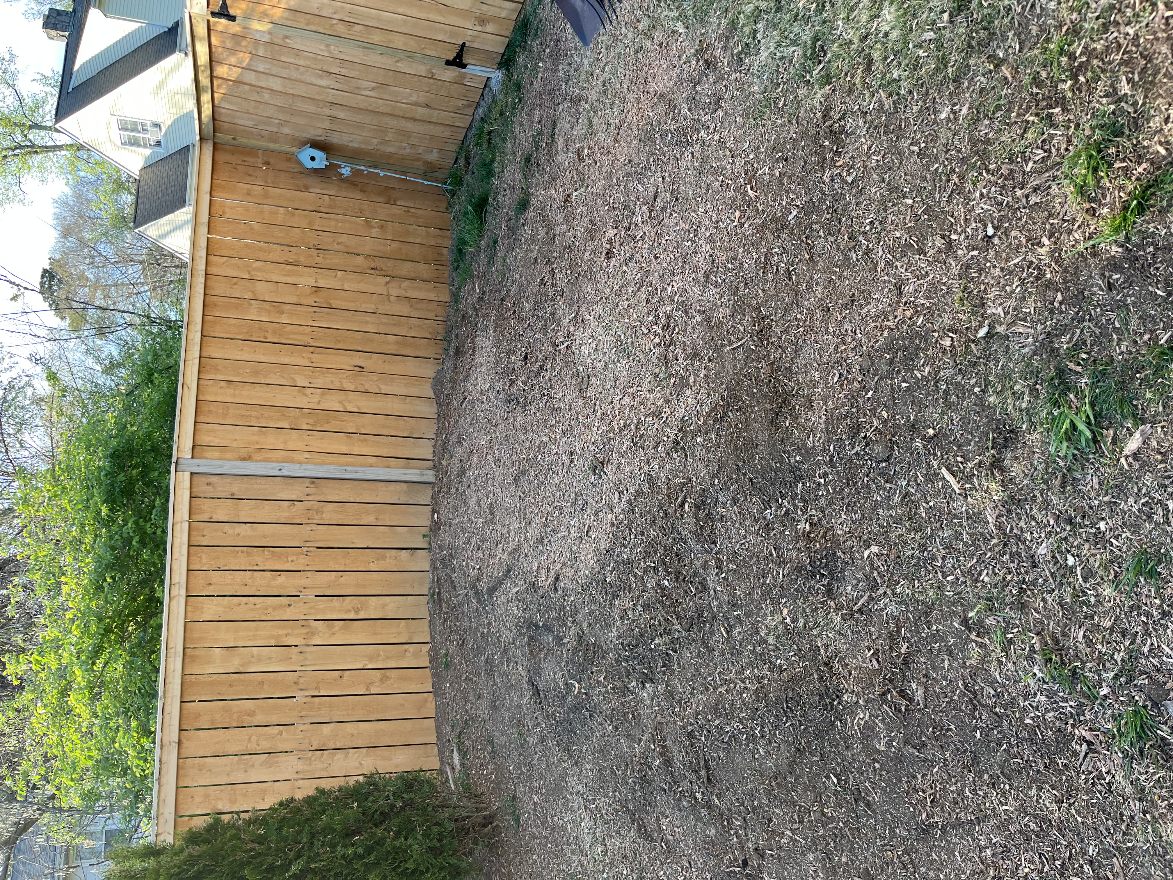 Yard after stump removal - Job 4