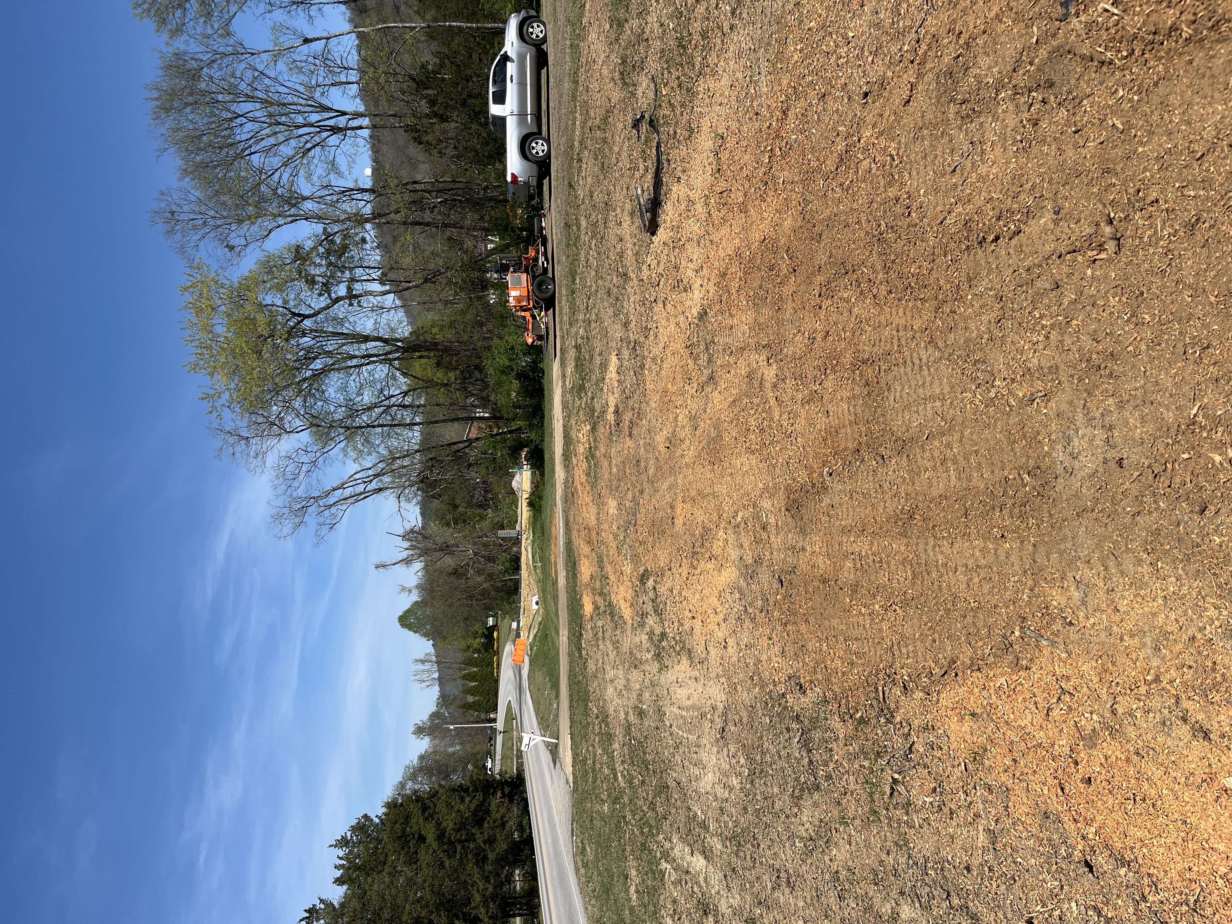Yard after stump removal - Job 5