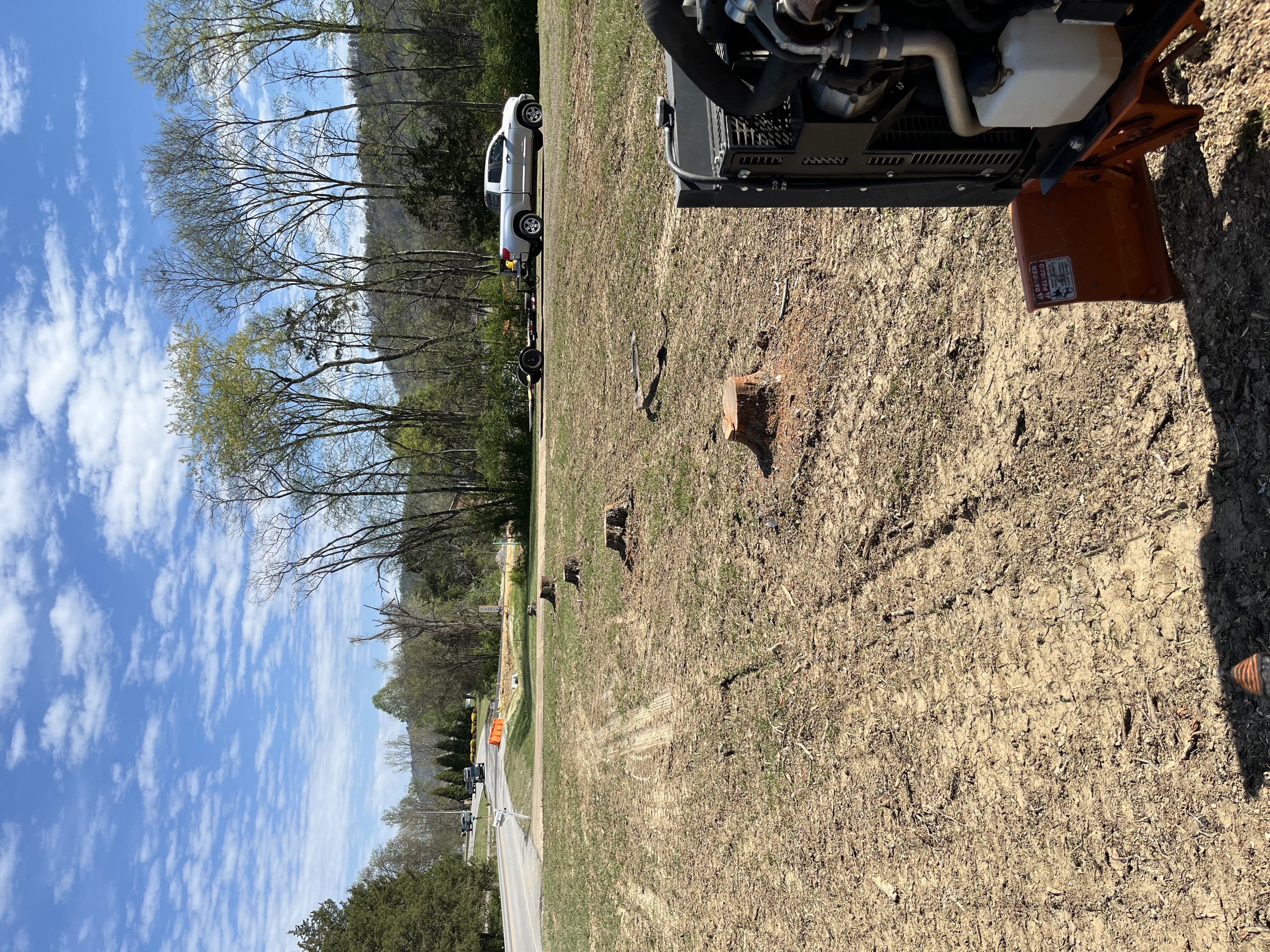 Stump before grinding - Job 5