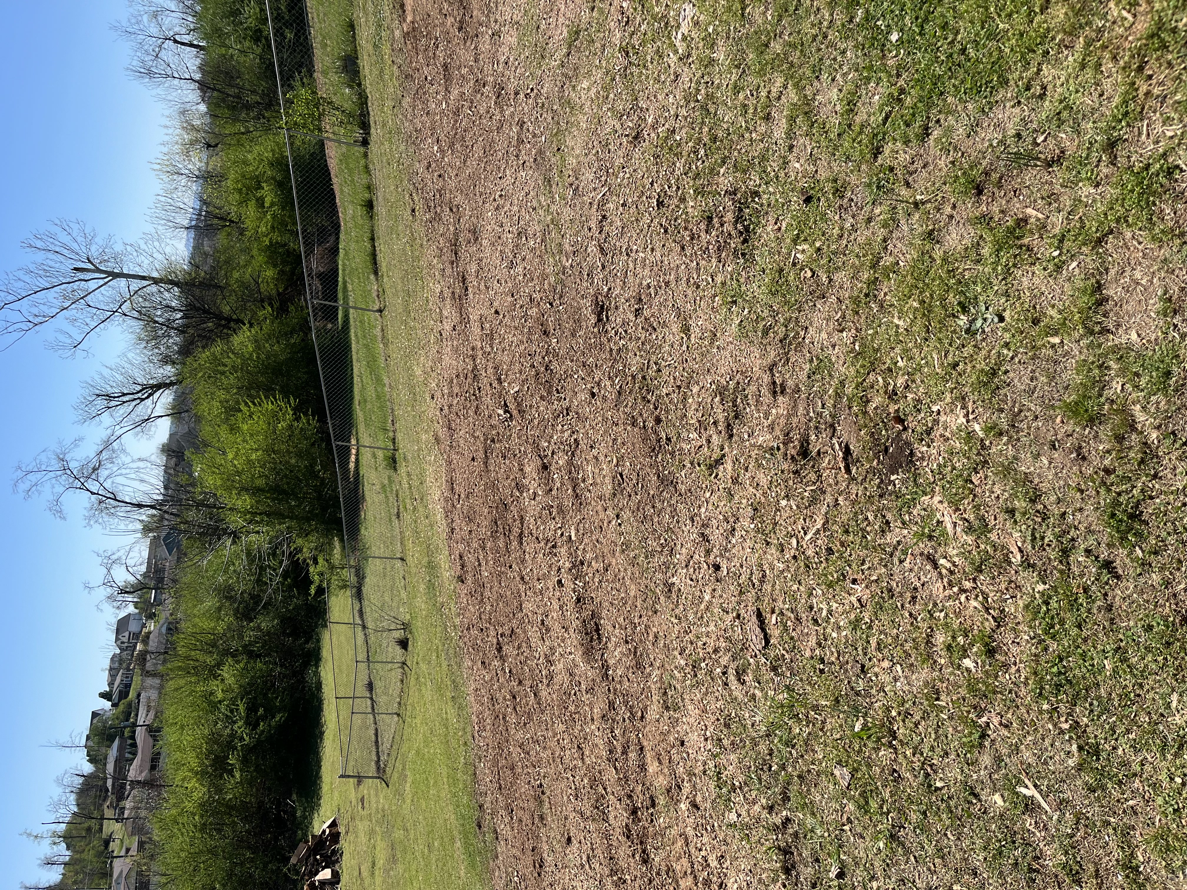 Yard after stump removal - Job 6