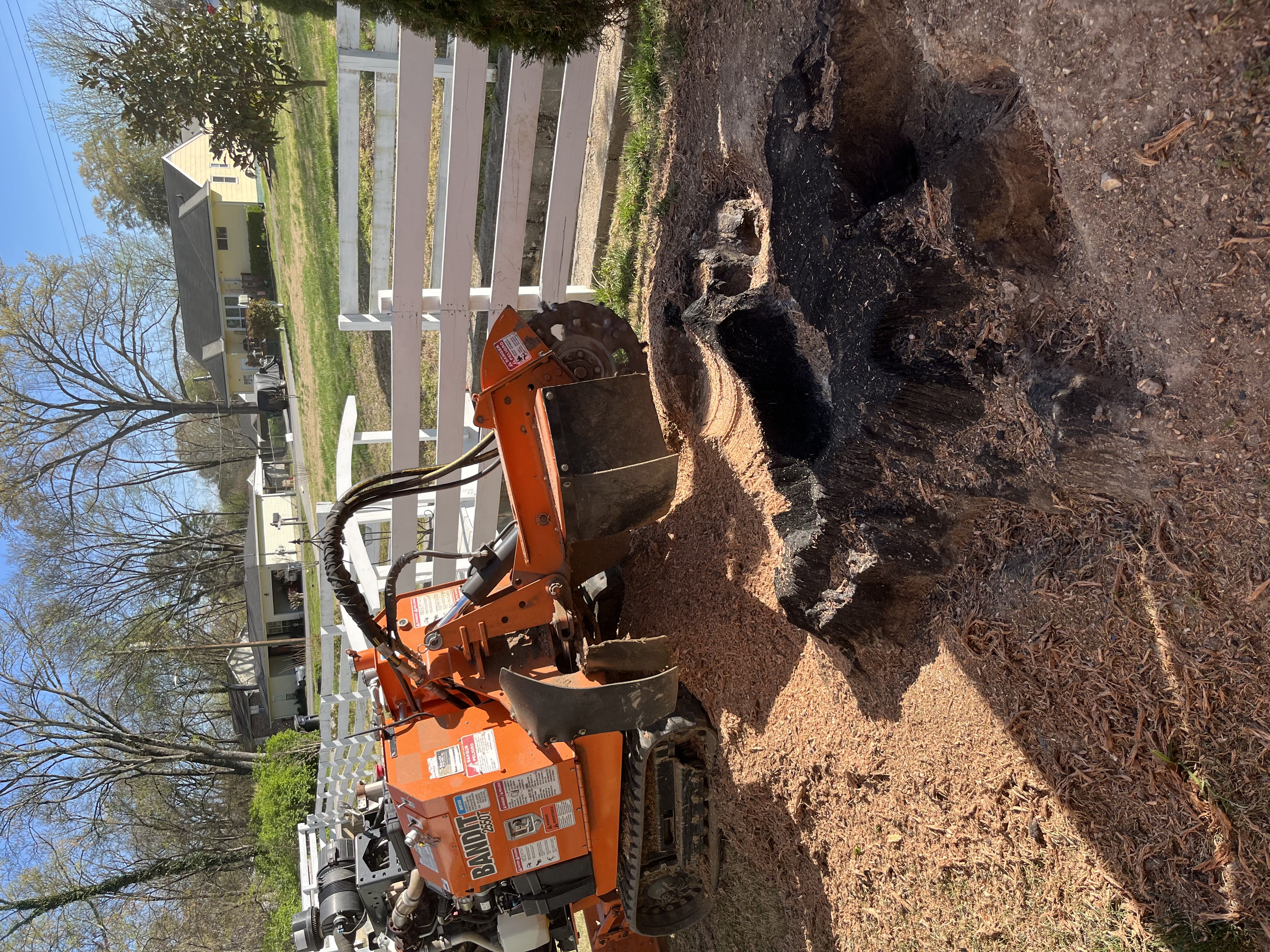 Bandit stump grinder used by Usry's Stump Grinding
